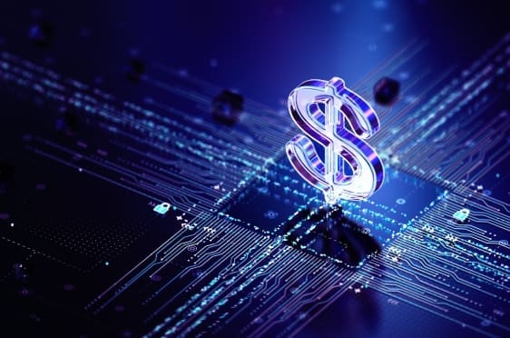 Digital network of buyer and seller transactions